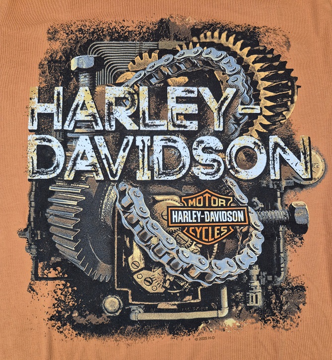 Go to mcmahoncycles.com (Zing%202%20Front subpage) #1